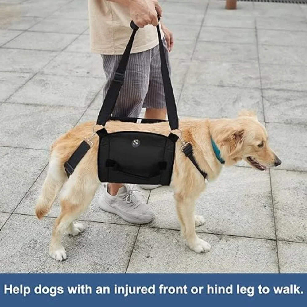 COODEO XL dog sling